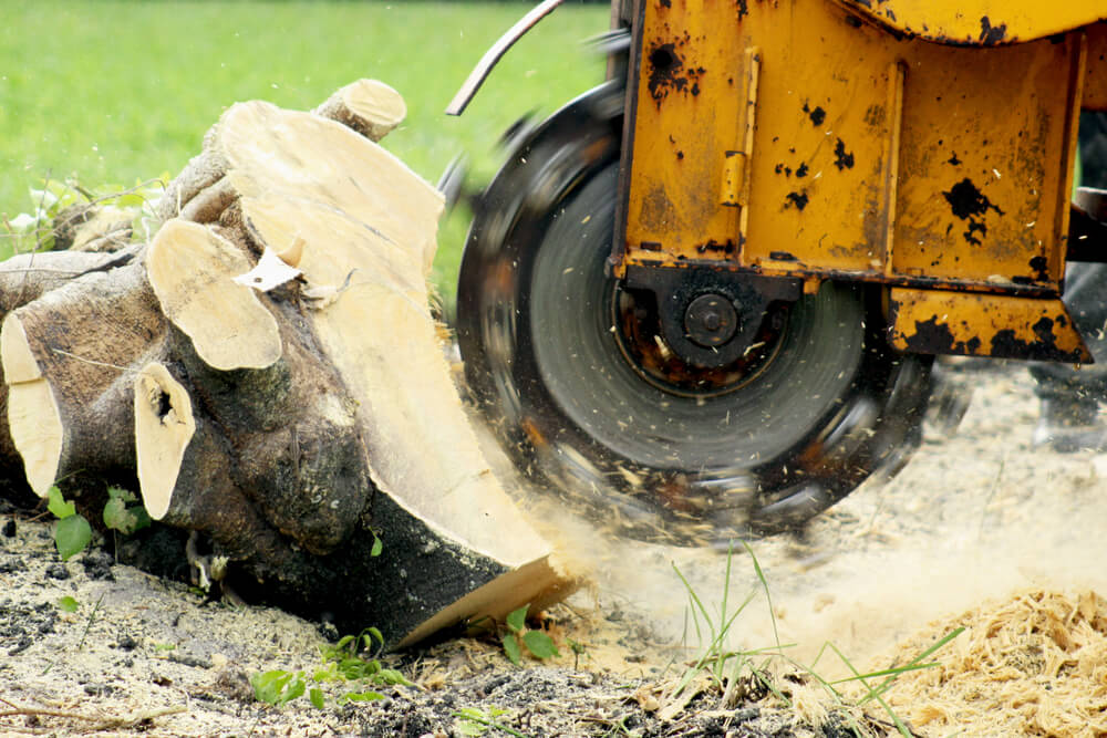 How Does Stump Grinding Work?